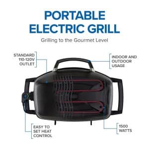 Napoleon TRAVELQ PRO285 Portable Gas Grill outdoor living products image 18