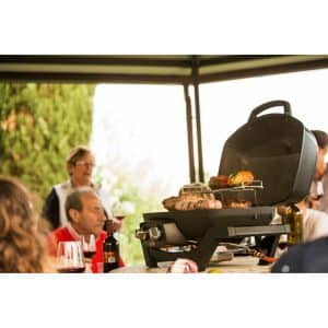 Napoleon TRAVELQ PRO285 Portable Gas Grill outdoor living products image 4