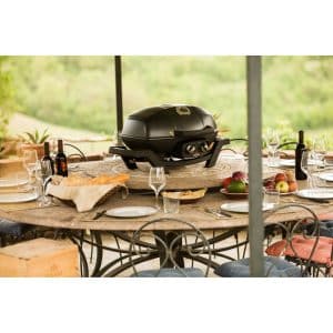 Napoleon TRAVELQ PRO285 Portable Gas Grill outdoor living products image 8