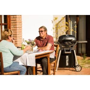 Napoleon TRAVELQ PRO285 Portable Gas Grill outdoor living products image 9