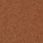 Cedar Wood (02)
