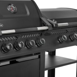 Napoleon Freestyle DUO Gas Grill & Griddle Combo outdoor living products image 17