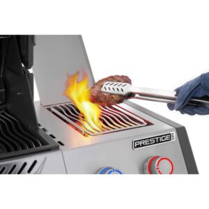 New Prestige PRO 500 outdoor living products image 4