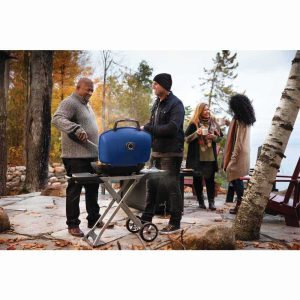 Napoleon TRAVELQ 285X + Scissor Cart outdoor living products image 3